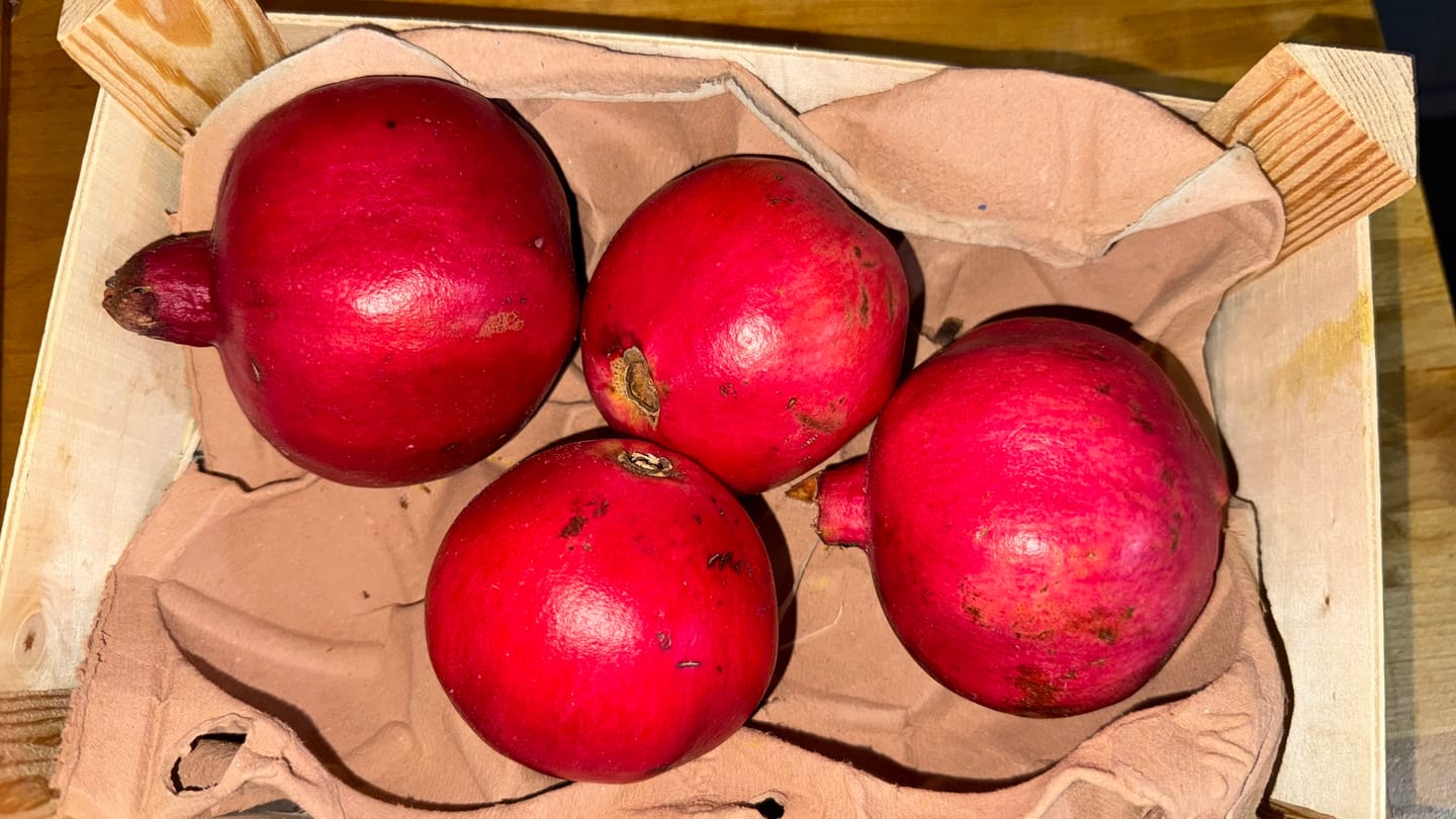Customer photo review of Mango & Granatapfel Bio Box Aktionspreis % 4kg