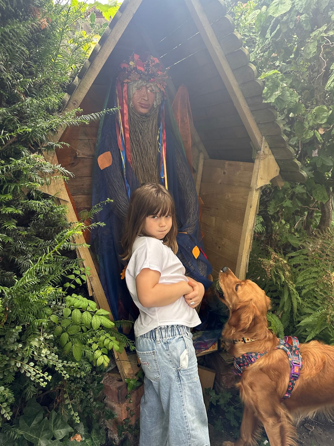 Customer photo review of Trail & Glow Dog Harness - Colour Drops - Spellbound Autumn