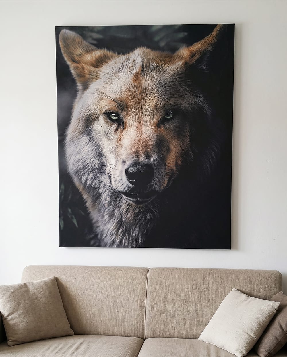 Customer photo review of Wolf Portrait