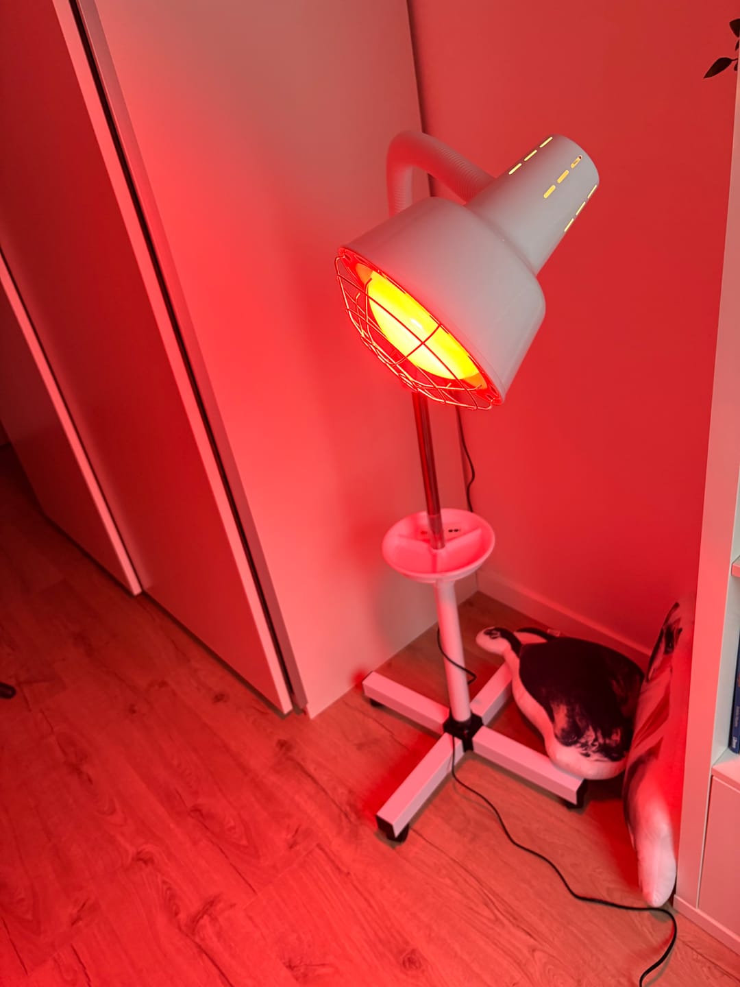 Customer photo review of LIROMA® Infraroodlamp Enkele kop – 506 – Ideaal voor thuis