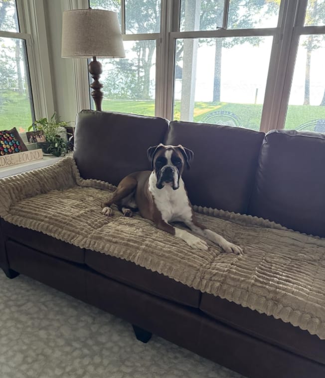 Customer photo review of Loami CozyCover™ – die kuschelige Sofadecke für Haustiere 🐾