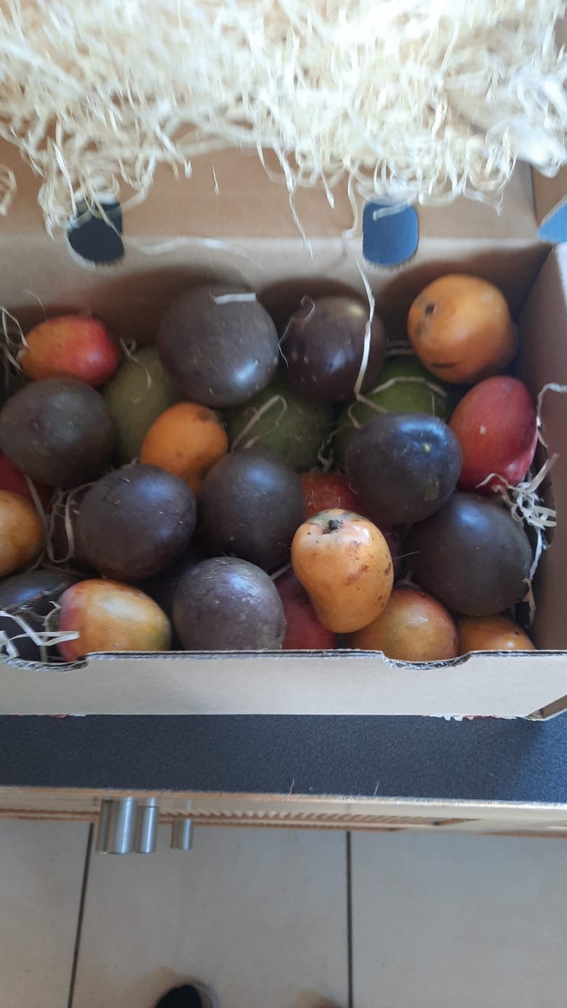 Customer photo review of Babymango & Passionsfrüchte Duo Box