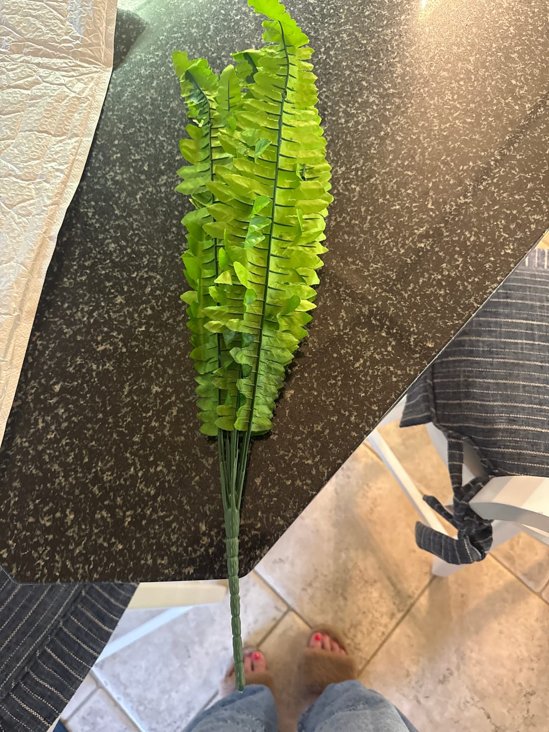 Customer photo review of 💛Glowing Boston Ferns with Lights – 🌿 Zero Watering, Zero Maintenance