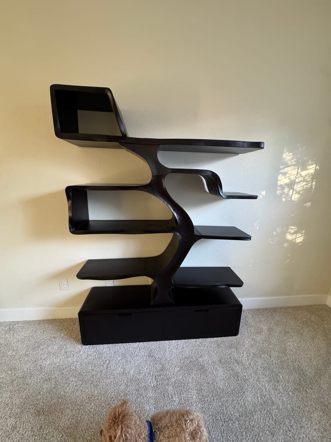 Customer photo review of Contemporary Wooden Bookshelf Sculpted Design For Living Space