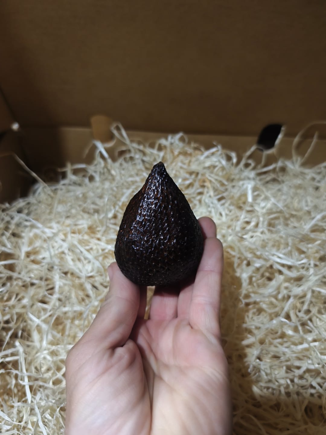 Customer photo review of Salak (Schlangenfrucht) naturbelassen