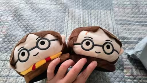 Customer photo review of Chaussons Harry Potter