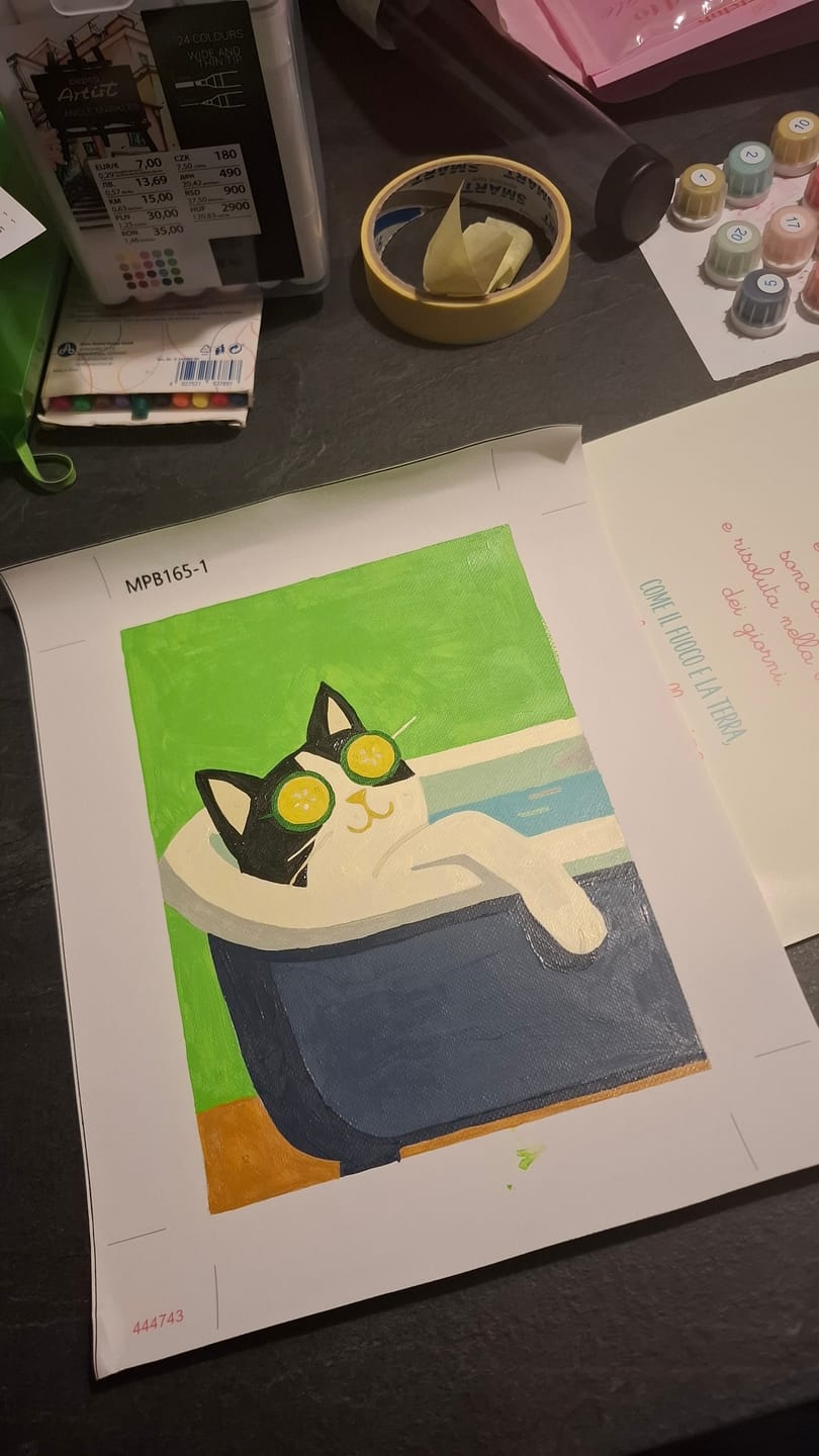 Customer photo review of 6 Mini Paintings - Crazy Cat Set
