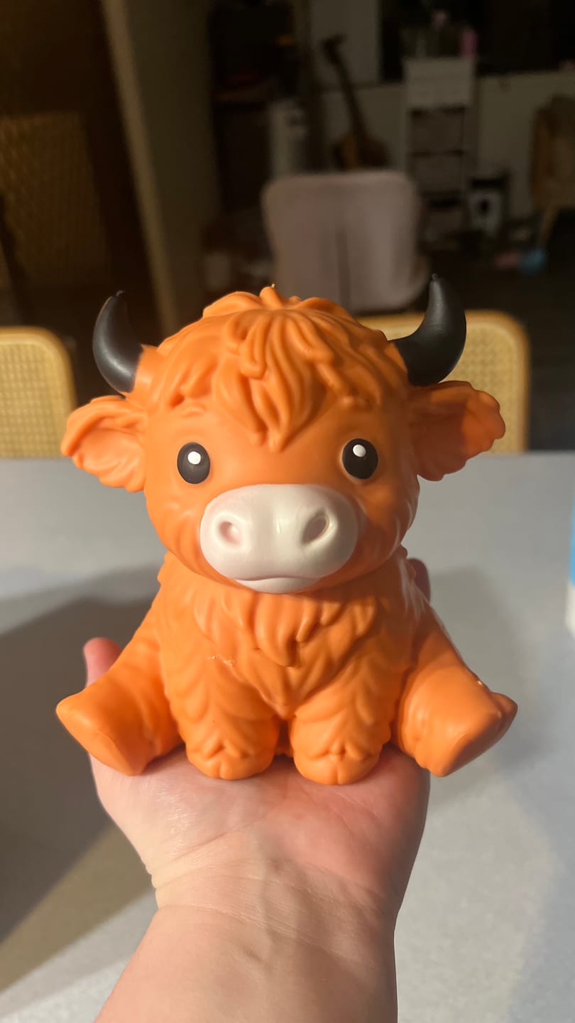 Customer photo review of Giant Durable Squishy Highland Cow