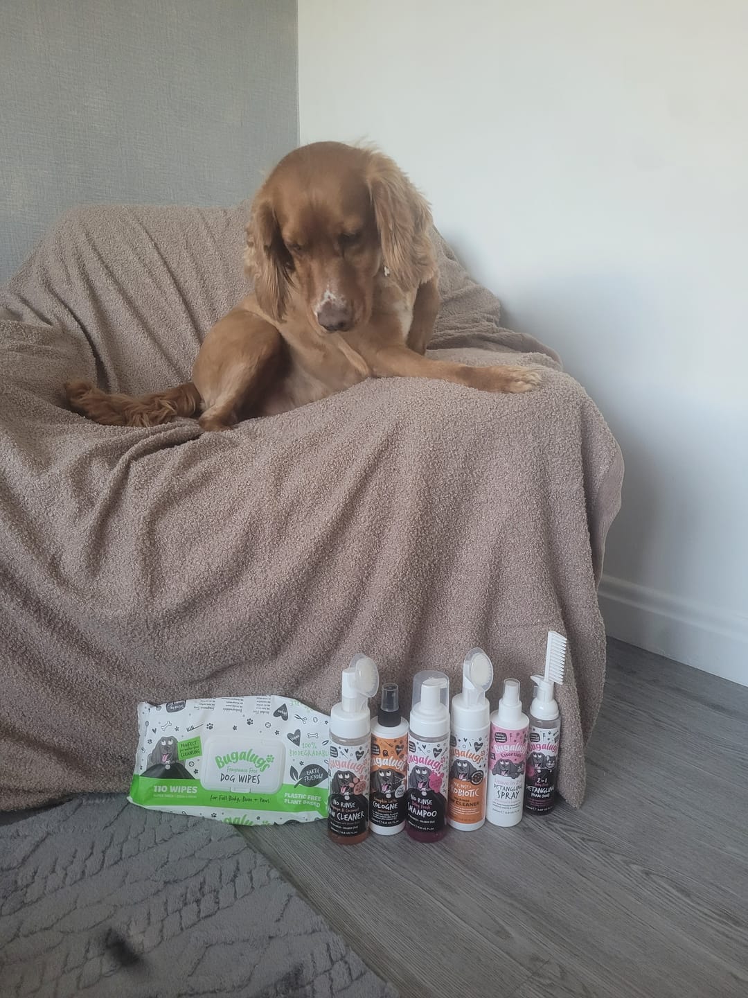 Customer photo review of Pre, Post + Probiotic No Rinse Paw Cleaner for Dogs