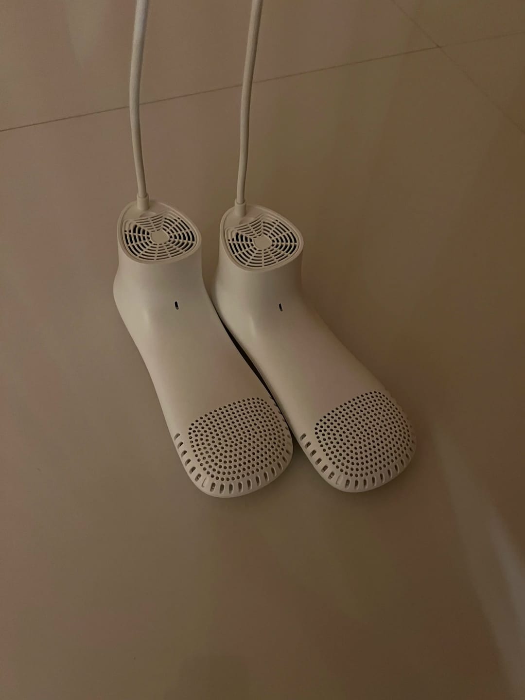 Customer photo review of Ski Boot Dryer