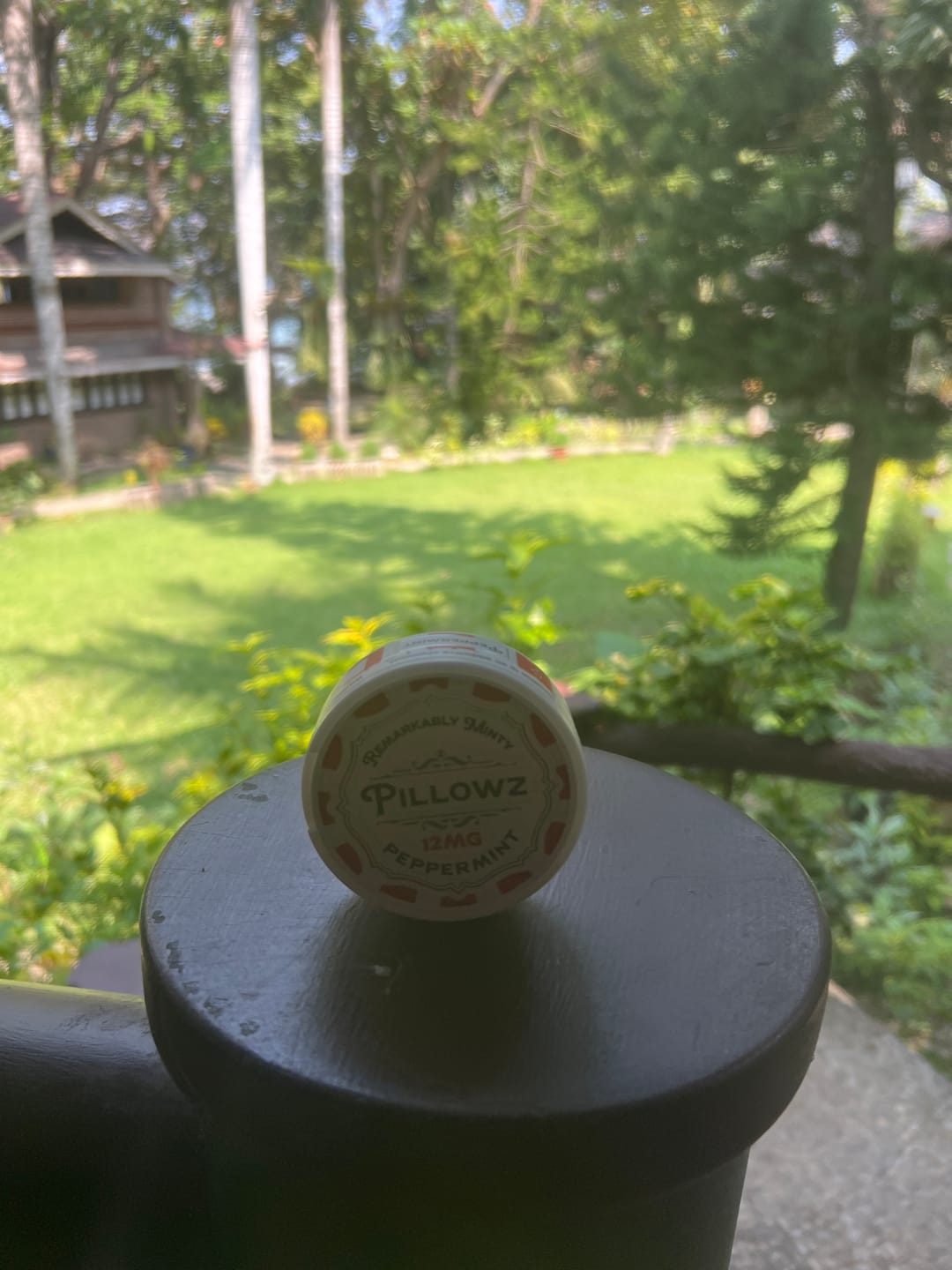 Customer photo review of Peppermint