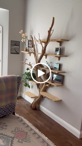 Customer photo review of Tree Bookshelf Driftwood Branch Floating Bookshelf