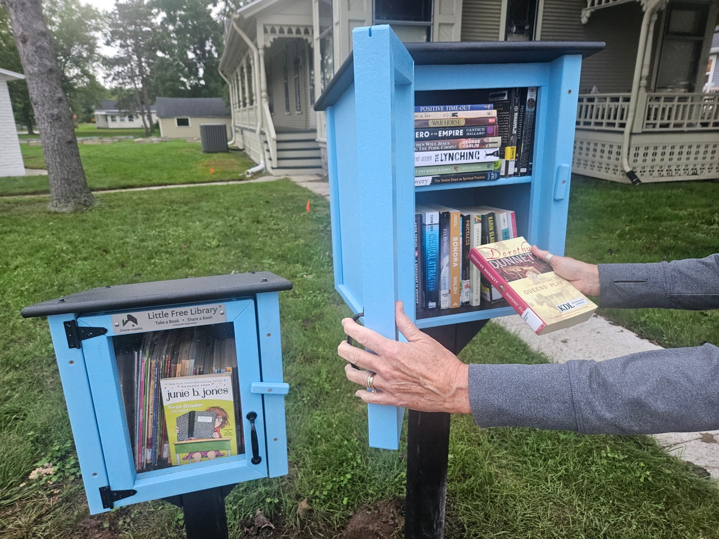 Customer photo review of Composite Two Story Light Blue Kit Little Free Library