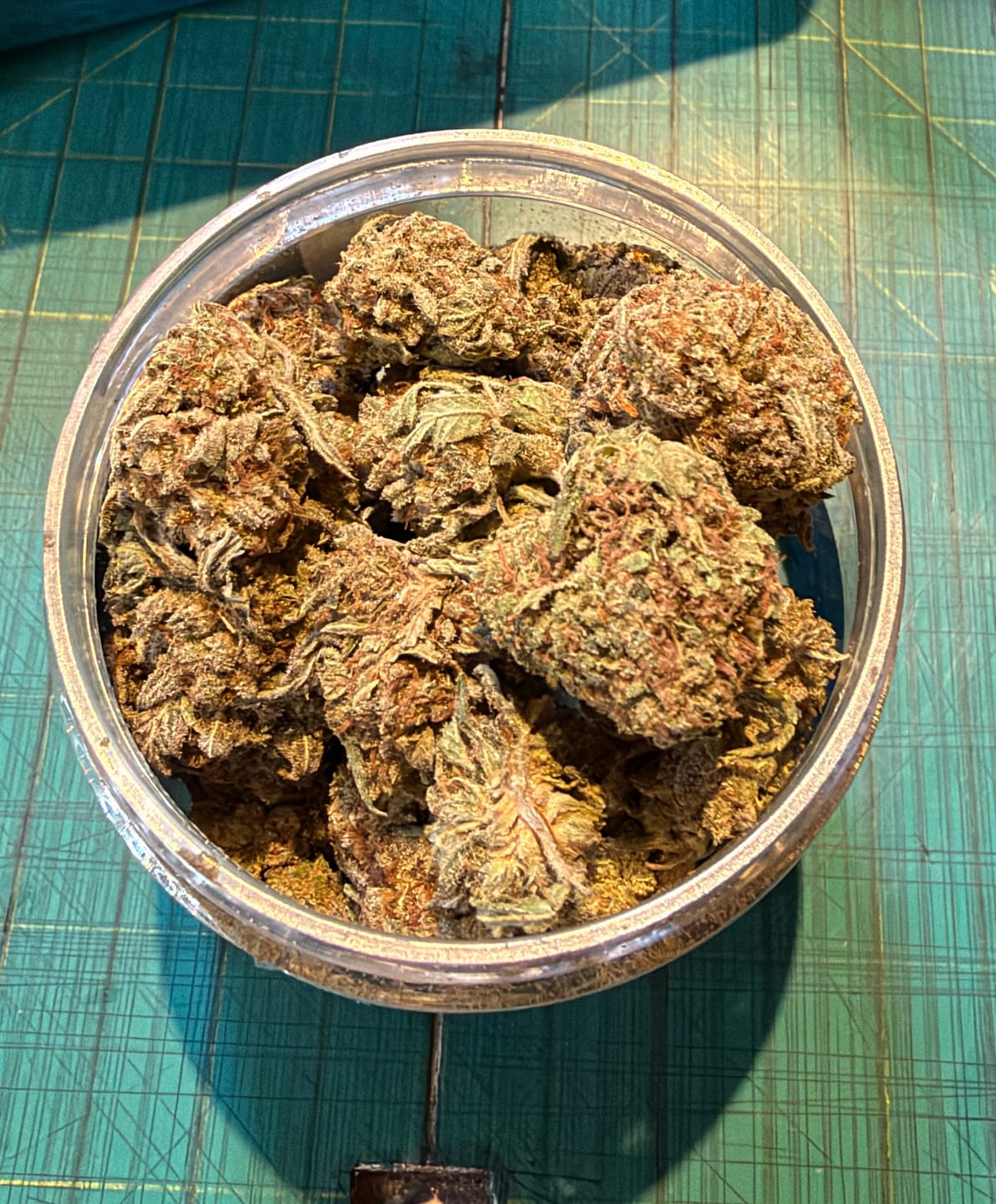 Customer photo review of Panama Red THCA Flower