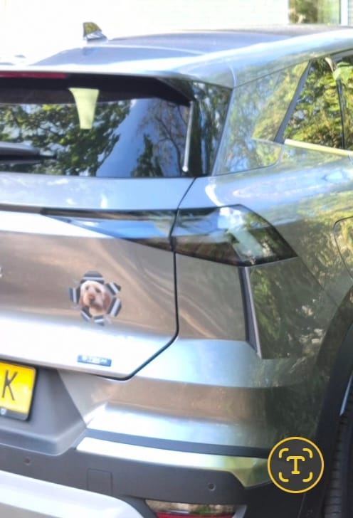 Customer photo review of Spioneren foto - Gepersonaliseerde autosticker