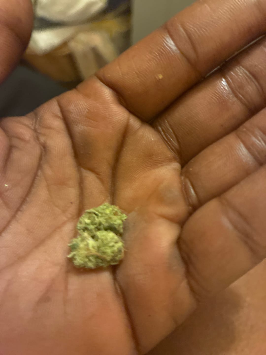 Customer photo review of Hyper Za THCA Flower