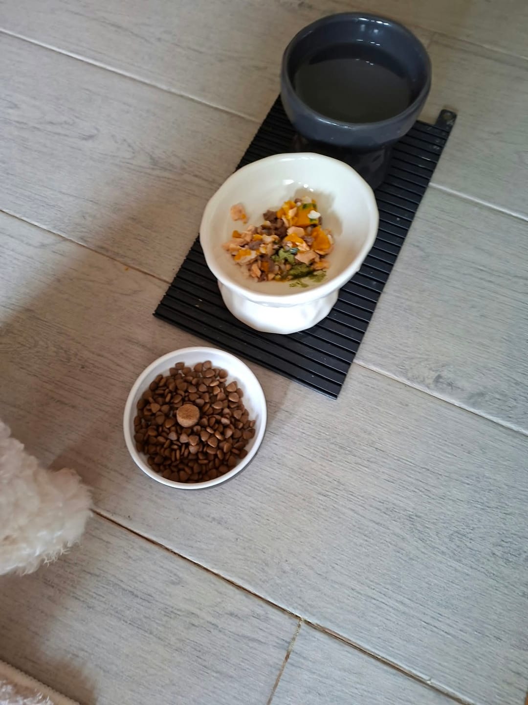 Customer photo review of ProBiome™狗狗益生菌軟粒