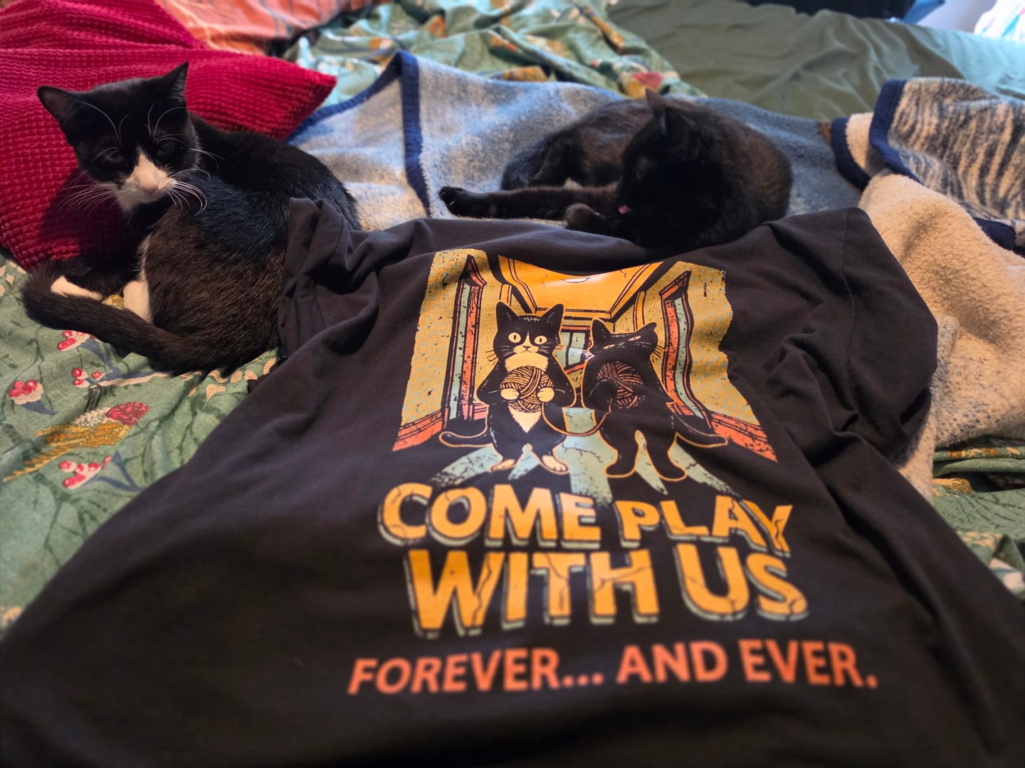 Customer photo review of Come Play TB - Premium