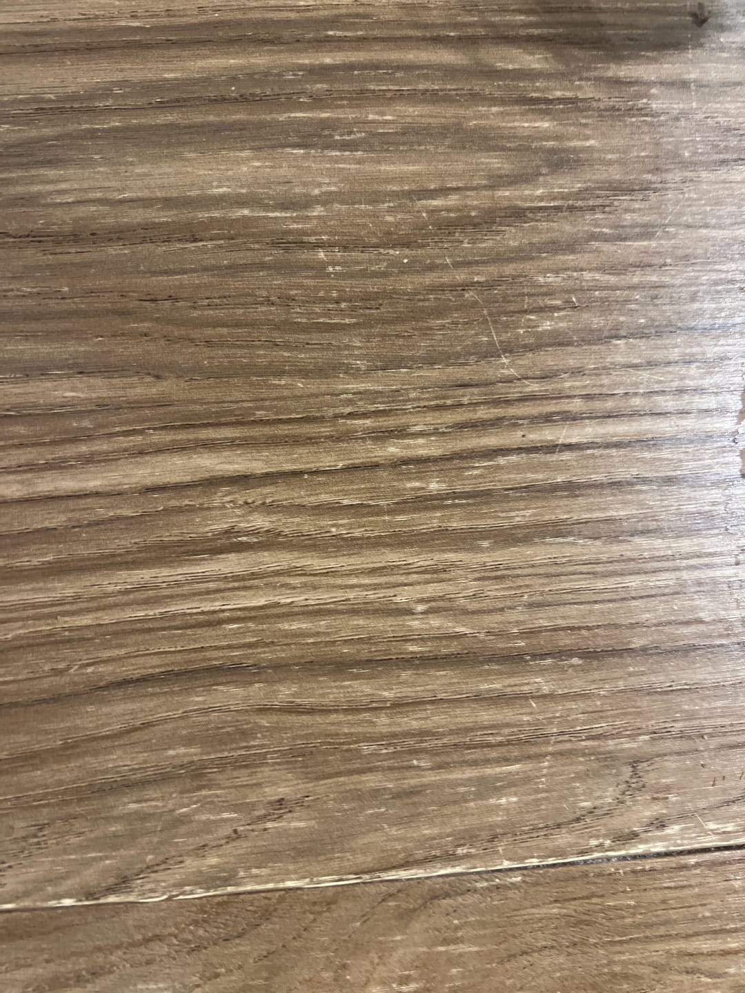Customer photo review of Tora eik kontaktplast