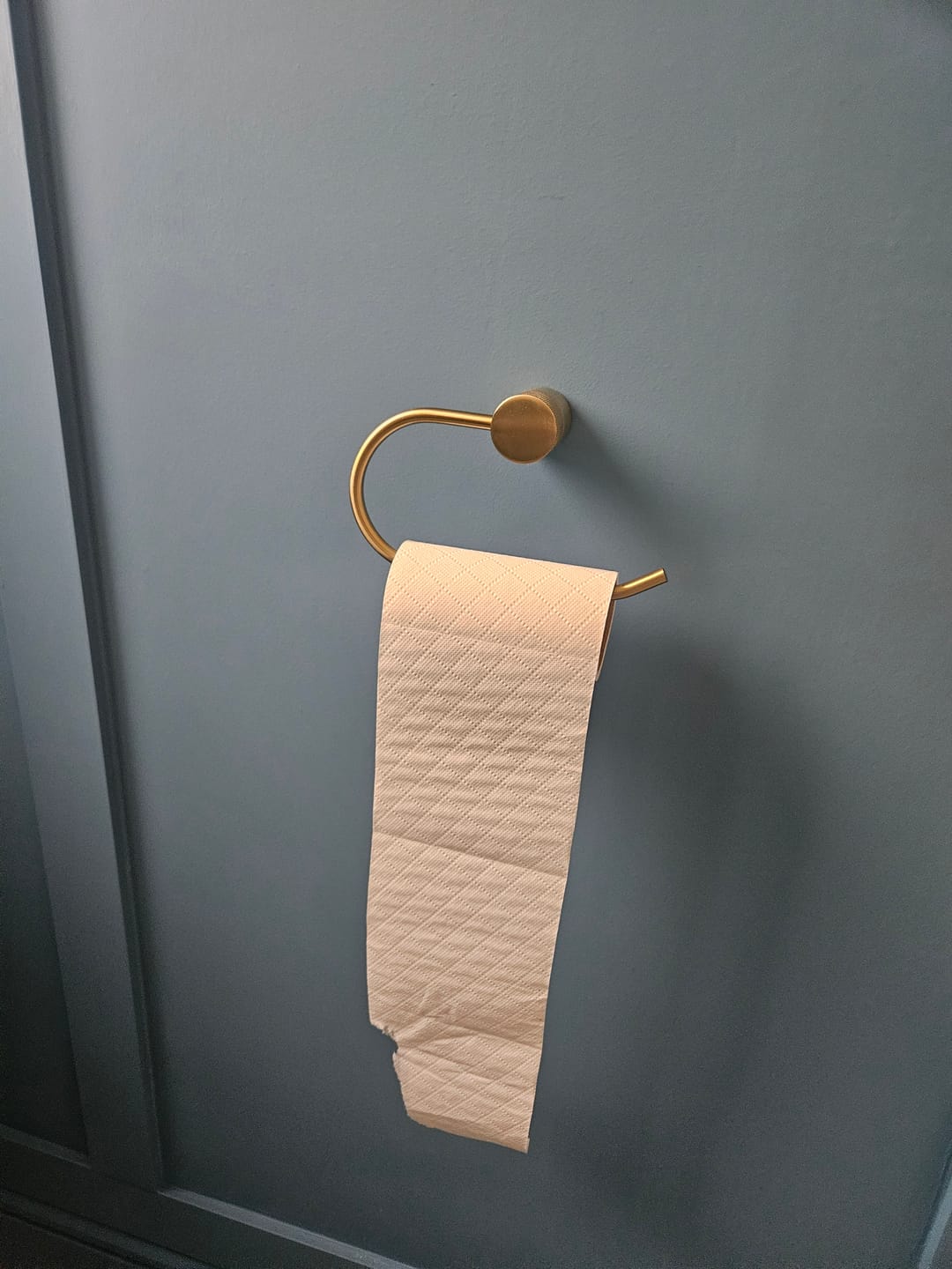 Customer photo review of Santorini Gold Toilet Roll Holder