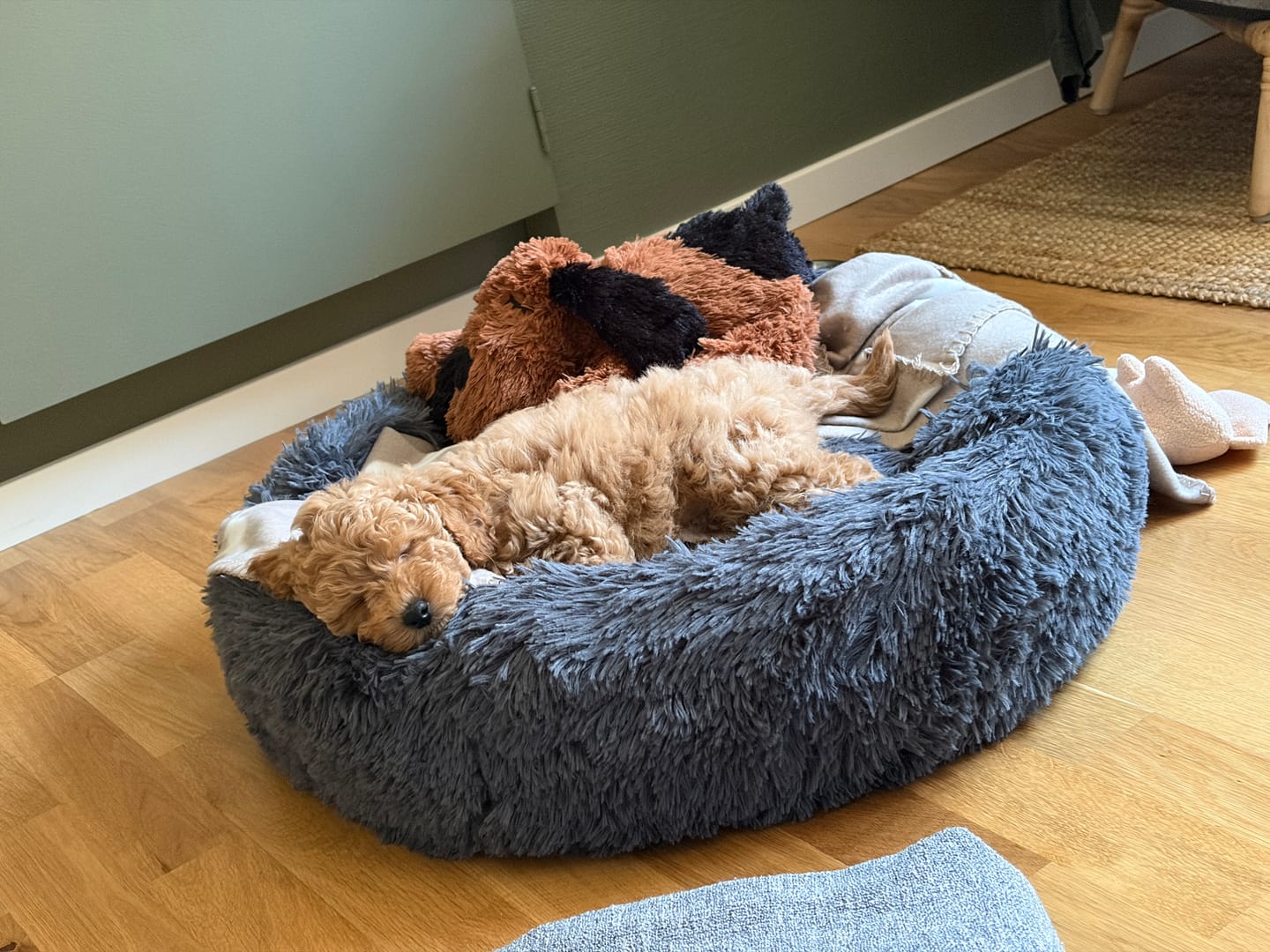 Customer photo review of CalmBed överdrag