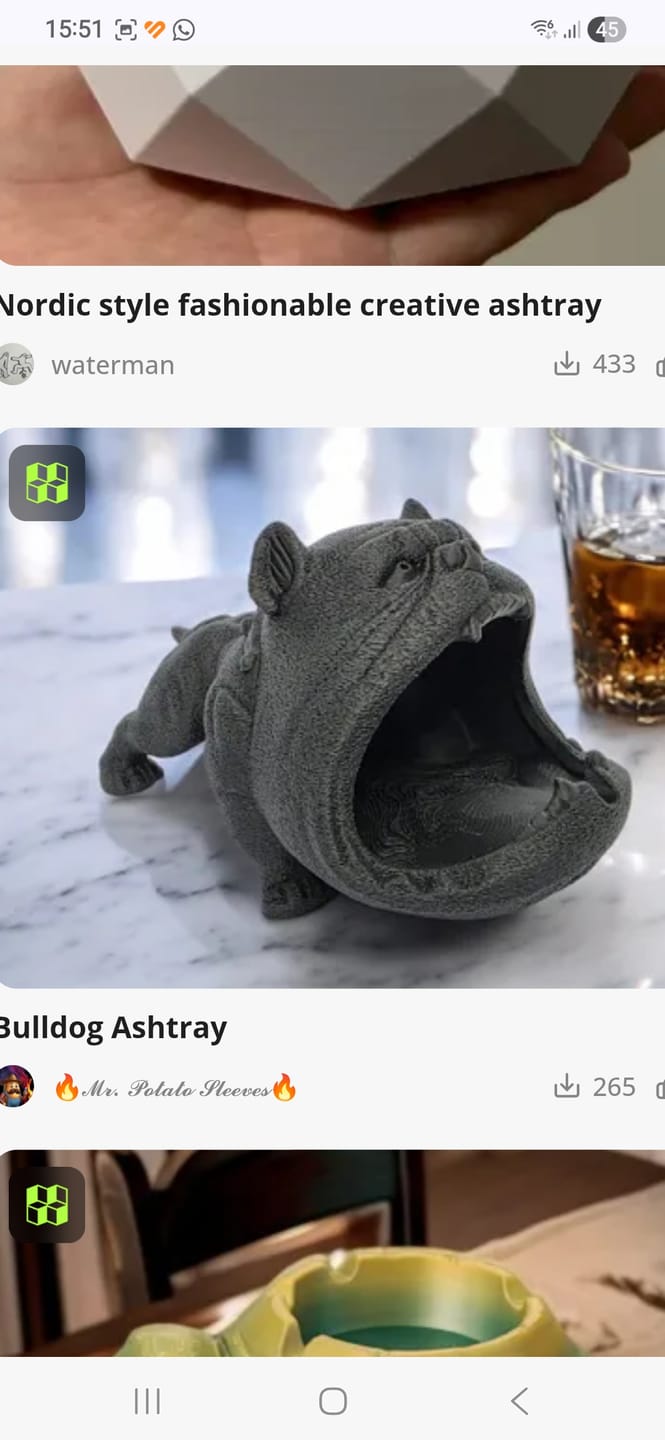 Customer photo review of Anycubic Kobra X