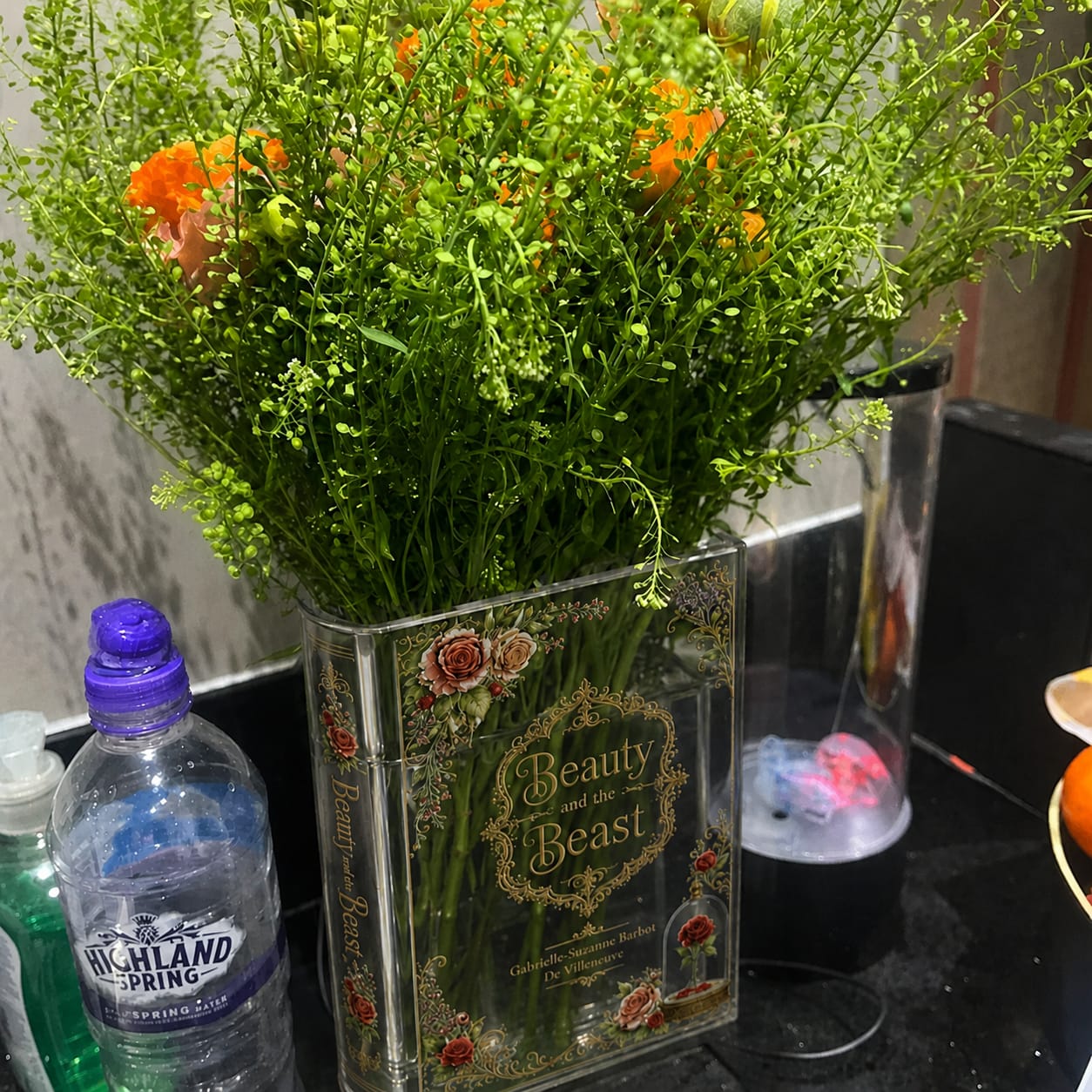 Customer photo review of Beauty and the Beast Acrylic Book Vase Book Lover Gift