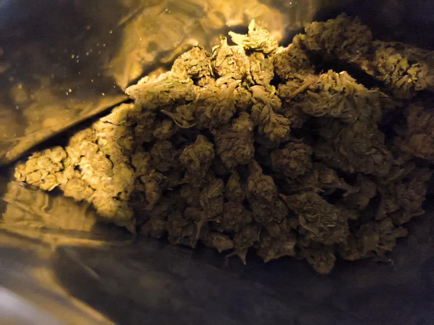 Customer photo review of Cheap THCA Flower Quarter Pound