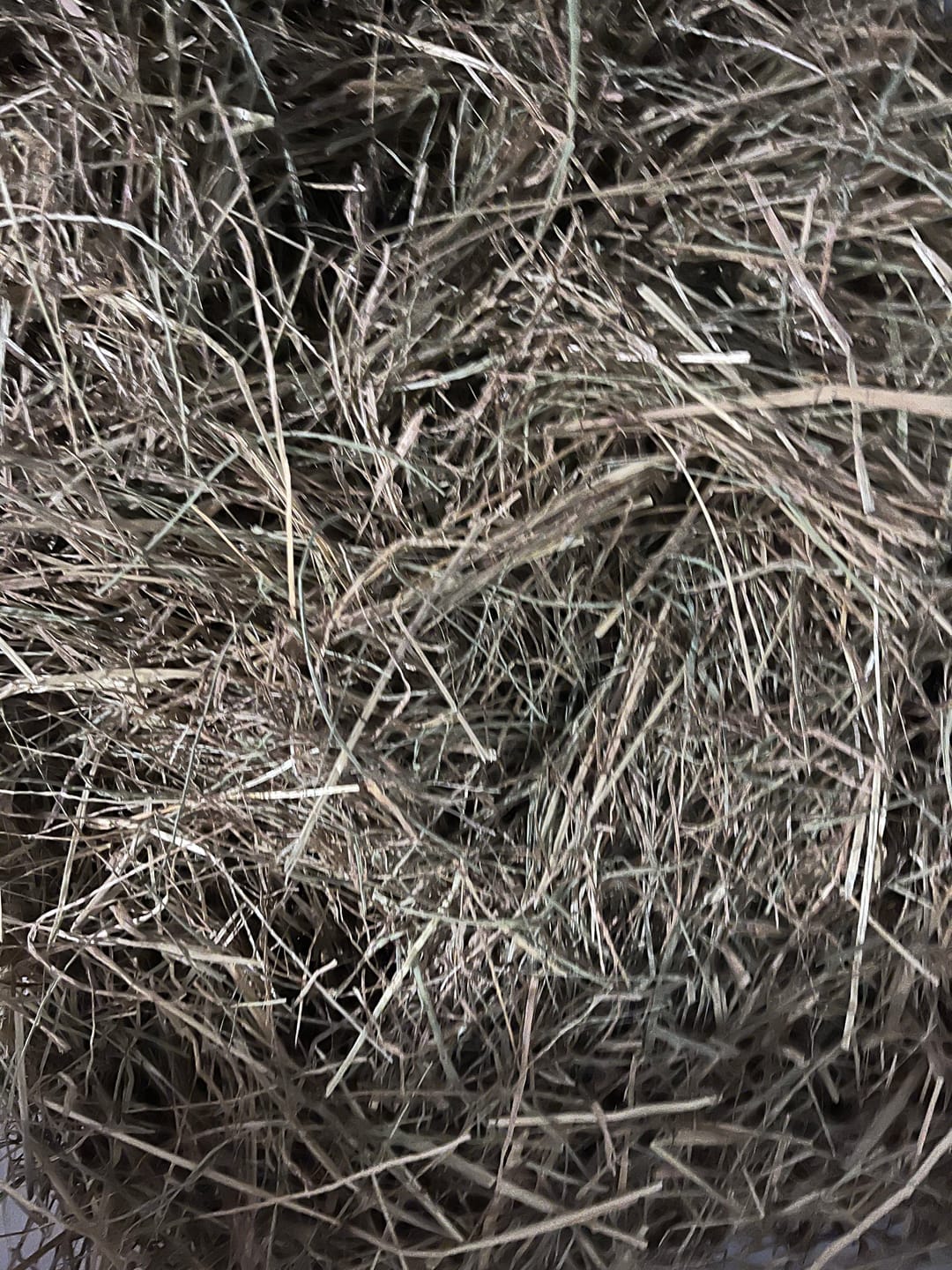 Customer photo review of Abonnement Foin de prairie en vrac