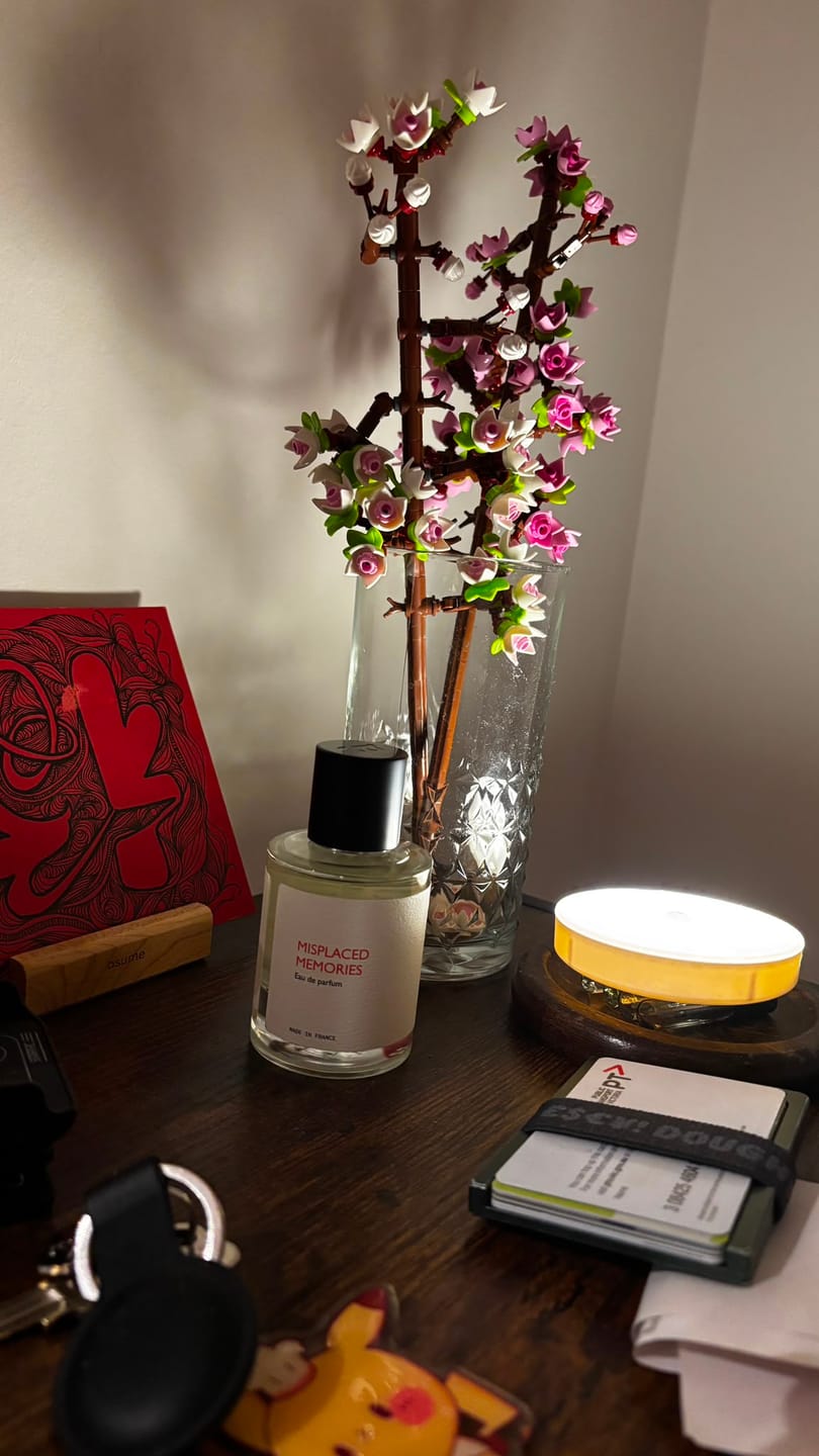 Customer photo review of Misplaced Memories
