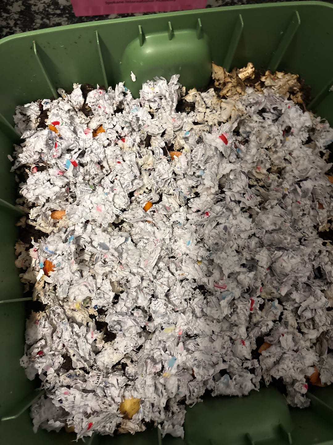 Customer photo review of Red Wigglers Composting Worms