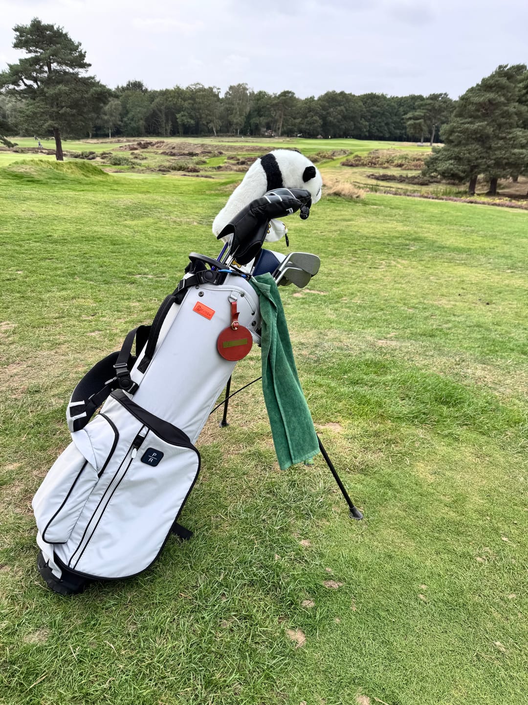 Customer photo review of SL2 Air Walker Golf Carry Bag