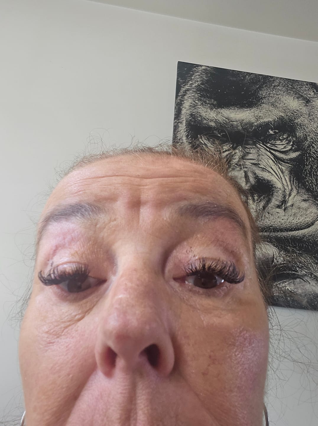 Customer photo review of Wimper Brush