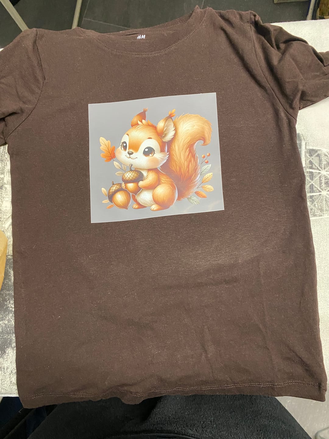 Customer photo review of Bügelbild Eichhörnchen mit Eichel