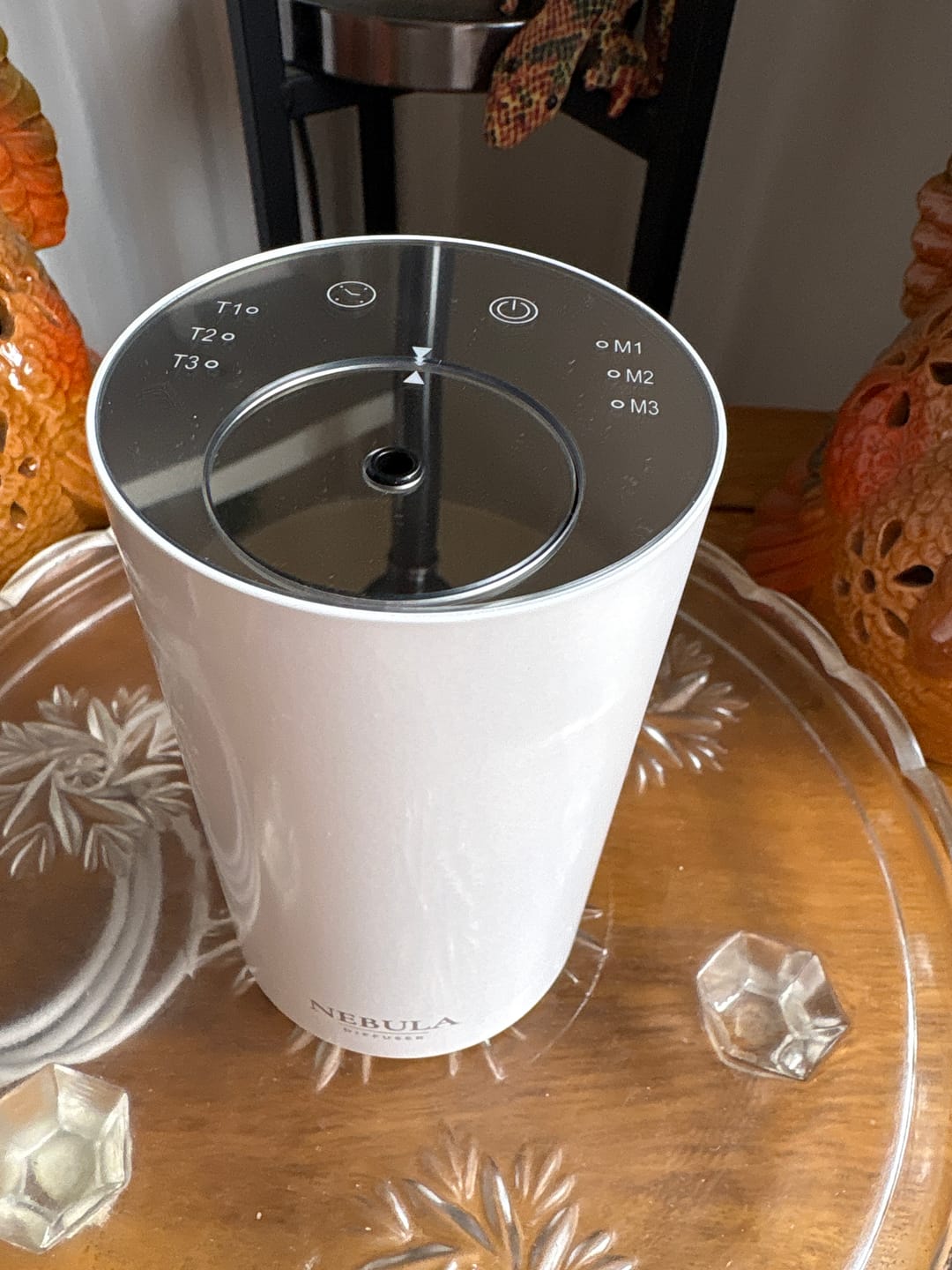 Customer photo review of Nebula Waterless Diffuser - Portable & Rechargeable
