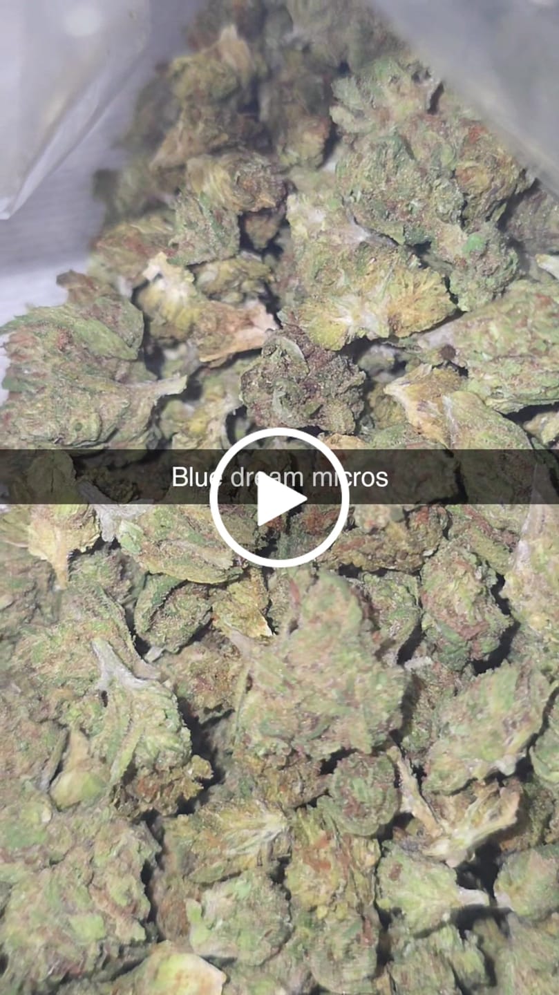 Customer video review of KIND - Blue Dream - Micros - 28 Grams - Sativa