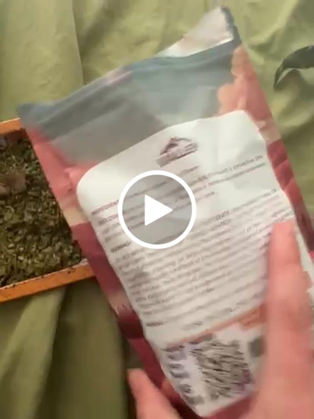 Customer video review of (Buy 1 Get 2 Free) No5. Sherbet THCa Shake