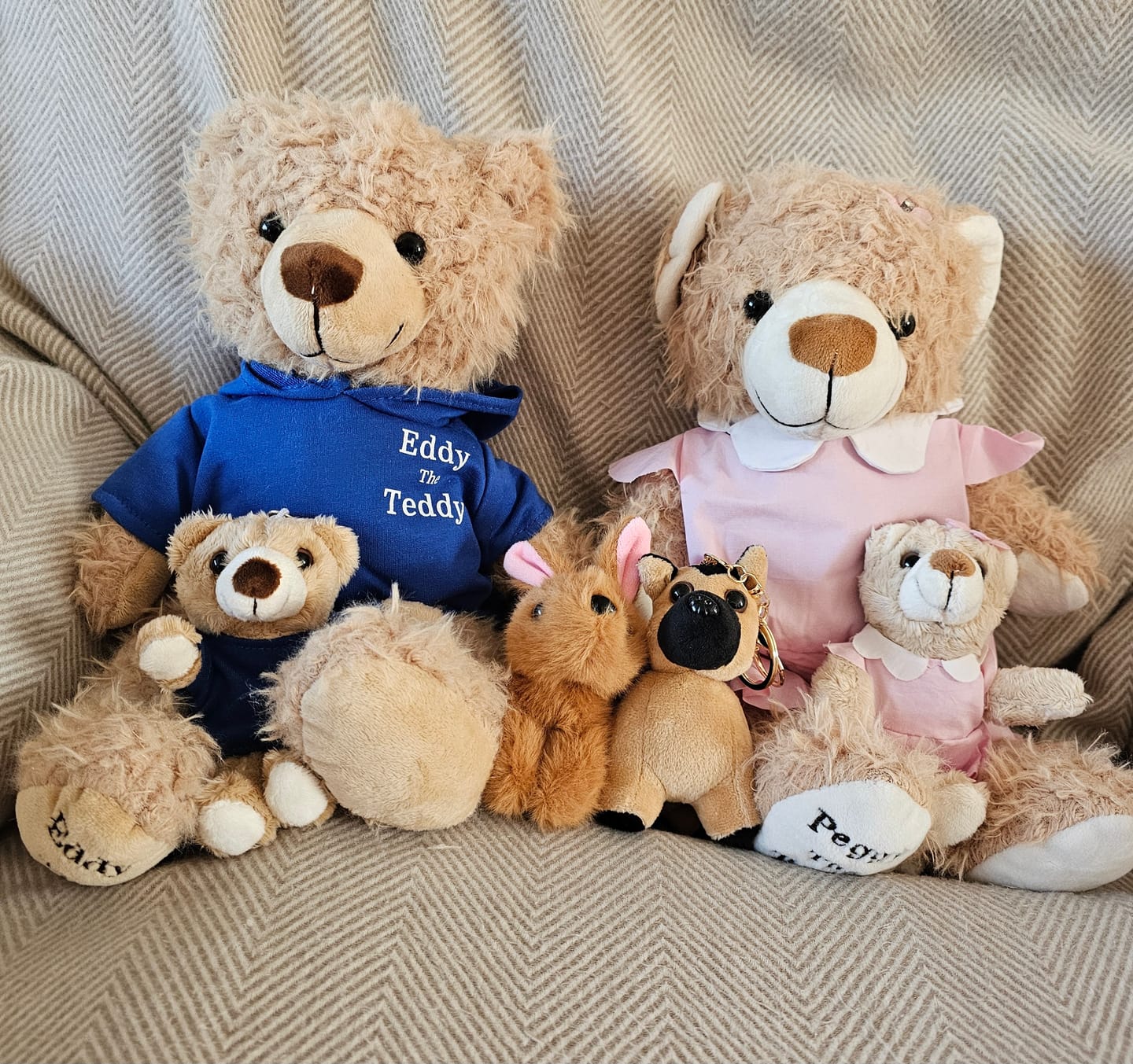 Customer photo review of Baby Brenda the Bunny