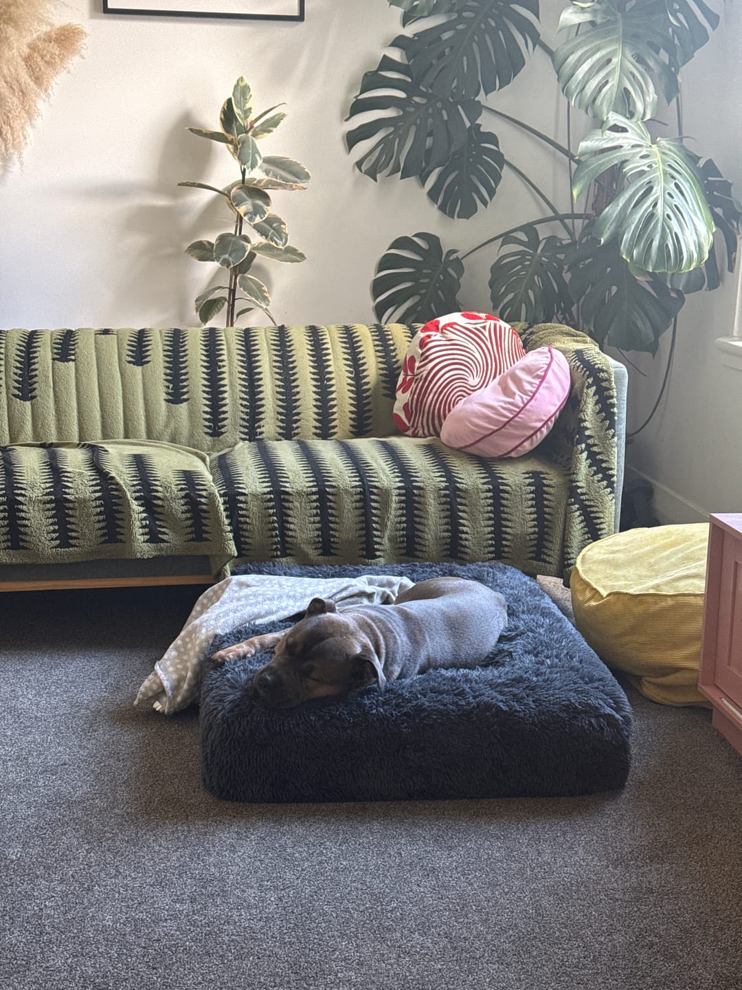 Customer photo review of Bouclé Cover