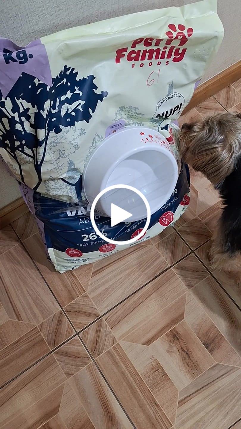 Customer video review of PetFamily Foods Razas Pequeñas