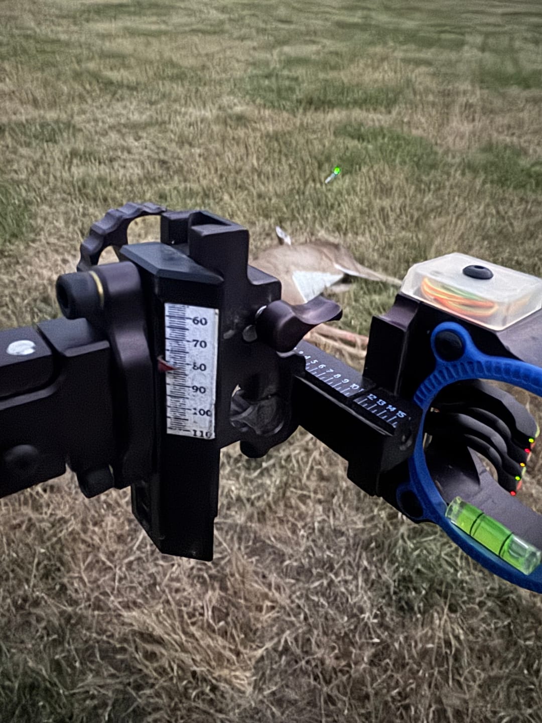 Customer photo review of Titanium Broadheads