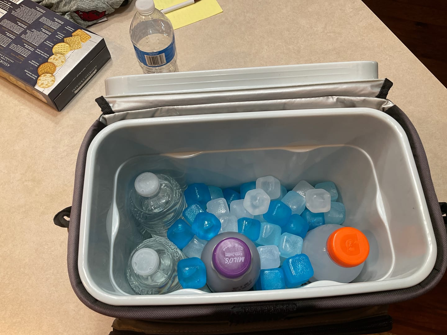 Customer photo review of Mega Freeze Blue Ice - 10.5lb Black Bag