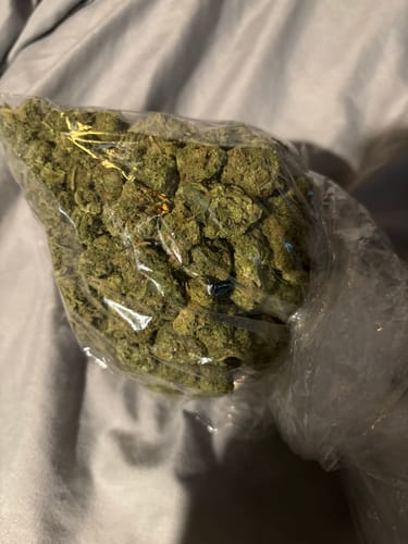 Customer's Key Lime Pie cannabis buds in a clear plastic bag
