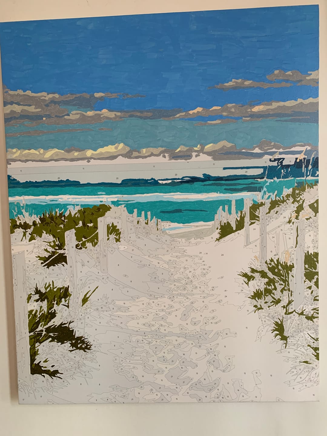 Customer photo review of Beach Path | Paint by Number