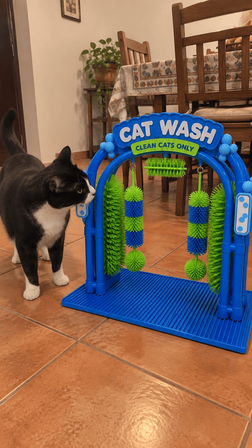 Customer photo review of Estación de Cepillado y Masaje para Gatos