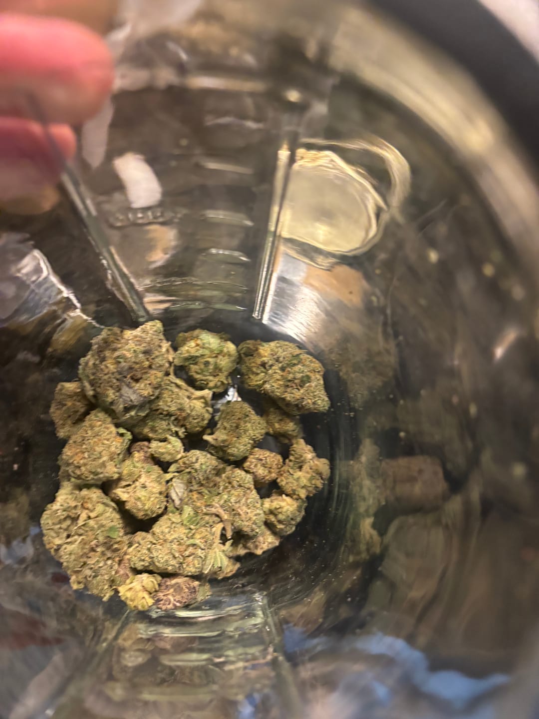 Customer photo review of Blueberry Smalls THCA Flower (Exotic)