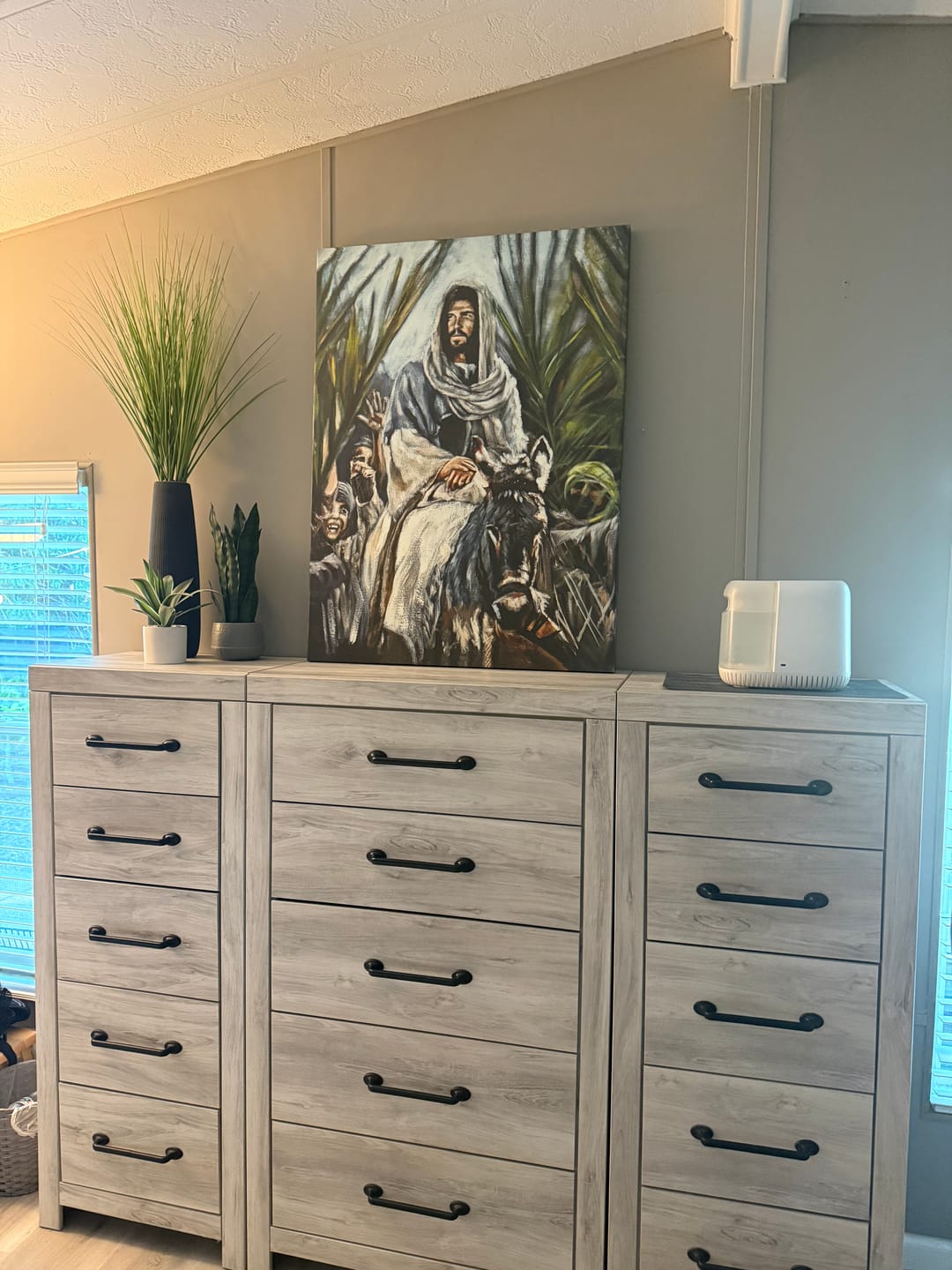 Customer photo review of The Promised King