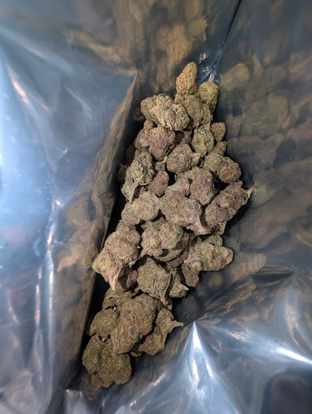 Customer photo review of Bulk Indoor THCA Smalls