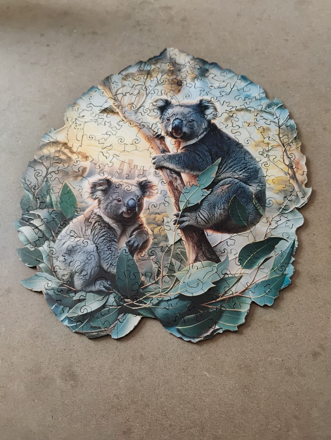Customer photo review of Koala in the sun Wooden Jigsaw Puzzle