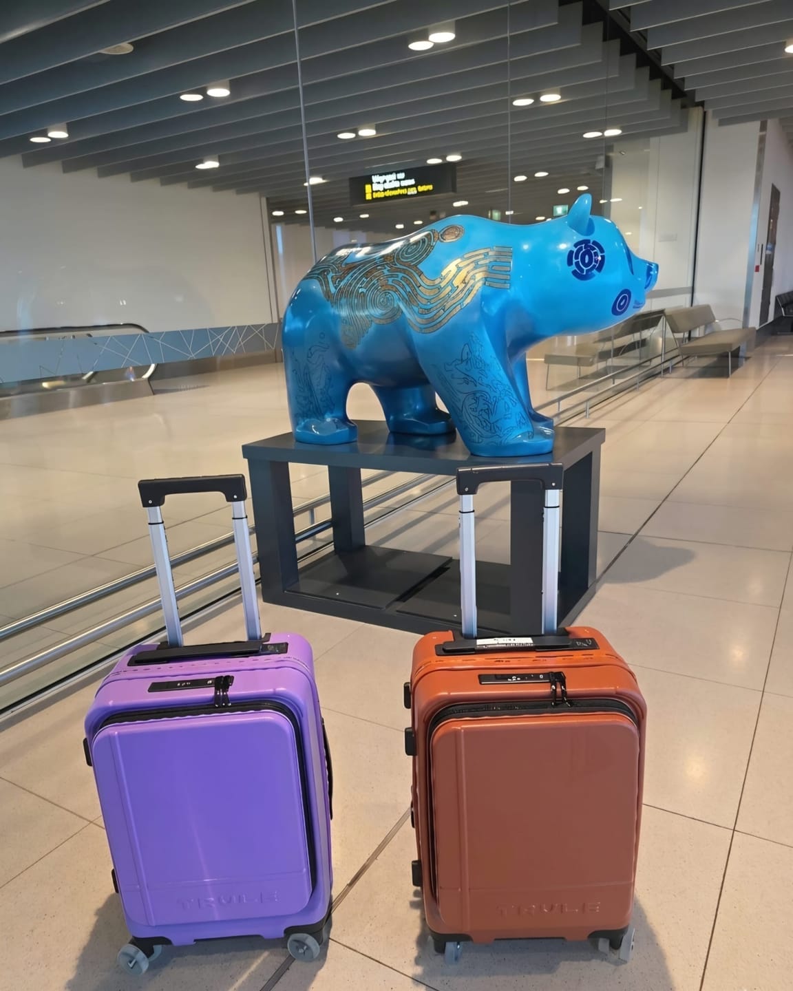 Customer photo review of Carry-On